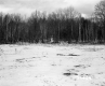 Chandler Property, Field and Forest