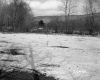 Chandler Property, Field and Trees