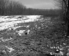 Chandler Property, Field and Trees