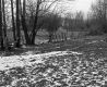 Van Nostrand Property, Fenced Fields