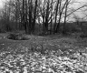 Van Nostrand Property, Field and Trees
