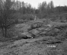 Van Nostrand Property, Rocky Outcrop in Field