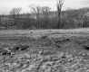 Hewitt Property, Field and Trees