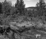 Gallup Property Between Berlin and Barre