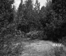 Gallup Property Between Berlin and Barre