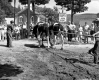 Covered Bridge Construction in Woodstock