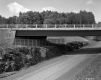 Brown Property, Cattle Pass beneath Bridge