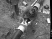 Steam Lines at Weeks School