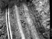 Steam Lines at Weeks School