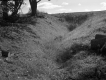 Huffman Property, Logs on Hillside