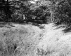 Huffman Property, Field and Forest