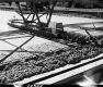 Bomoseen Bridge Construction