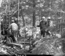 Drilling for Core Samples