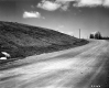 View down Dirt Road