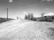 View down Dirt Road