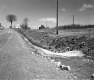 Farmstead along Dirt Road