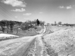 Farms along Dirt Road