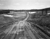 Farmland along Dirt Road