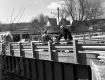 Bridge Construction on Route 15
