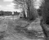 Barrows Property, Driveway through Trees