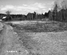 Barrows Property, Field and Forest