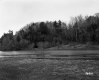 Flooding in Intervale