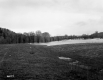 Flooding in Intervale