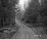 Blodgett Property, Forest Road