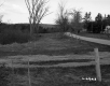 Spear Property, Farm Fields and Trees
