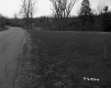 Spear Property, Farm Fields and Trees