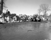 Ice Damage on the White River