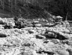 Ice Damage on the White River