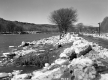 Ice Damage on the White River