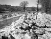 Ice Damage on the White River