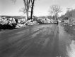 Ice Damage on the White River