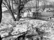 Ice Damage on the White River