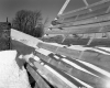 Snow Fencing