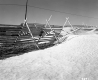 Snow Fencing