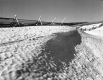 Snow Fencing