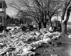 Ice Damage on the Lamoille River