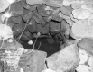 Seely Property, Well