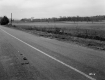 Bodette Property, Farm Fields
