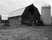 Husk Property, Dairy Barn and Silo