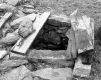 Tenney Property, Spring
