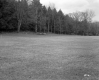 Tenney Property, Farm Fields