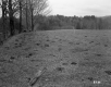 Tenney Property, Farm Fields