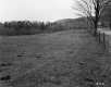 Tenney Property, Farm Fields