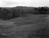 Tenney Property, Farm Fields