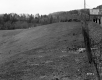 Tenney Property, Farm Fields