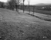 Tenney Property, Farm Fields